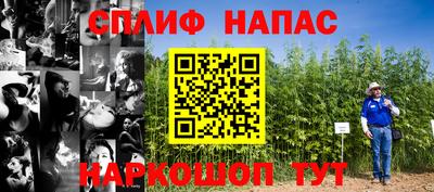 трава Славянск-на-Кубани