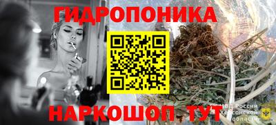 ПСИЛОЦИБИНОВЫЕ ГРИБЫ Славгород